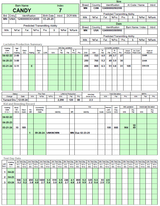 candy doe sheet 2024
