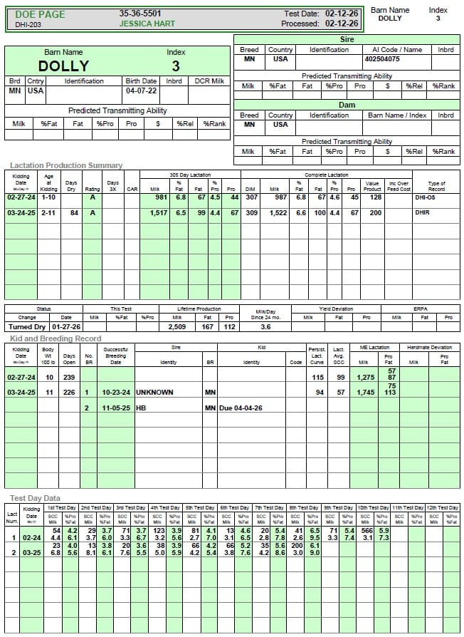 Dolly Doe Page 2025-6
